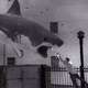 Illustration for article titled We asked the writer of emSharknado/em some very serious questions